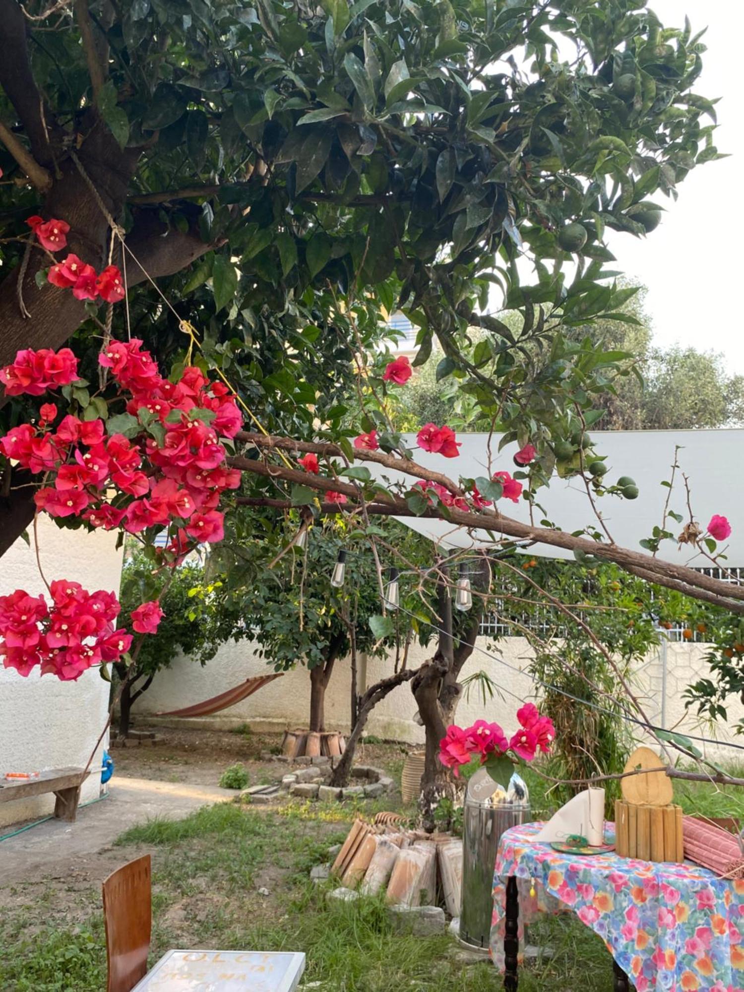 Best Located Ruby Luxury Escape กาลามาตา ภายนอก รูปภาพ